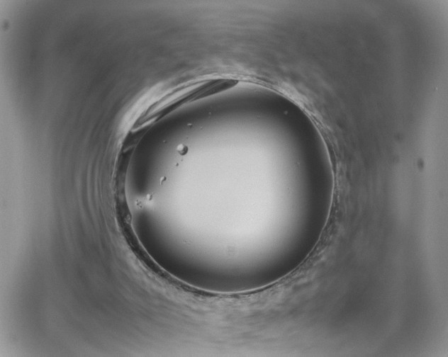 X0000066520007200603241348