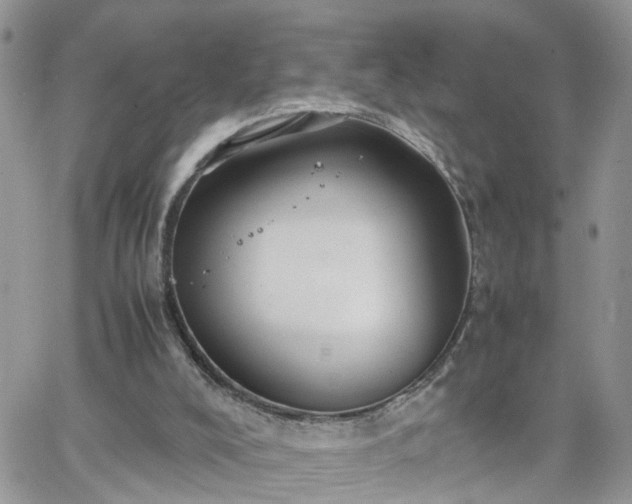 X0000066520008200603241348