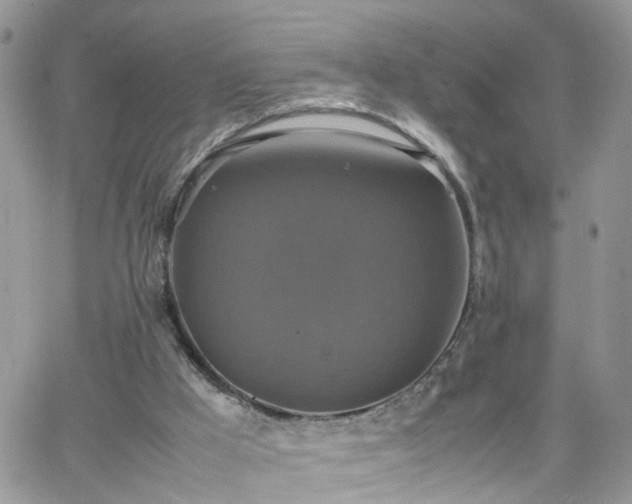 X0000066520009200603241348