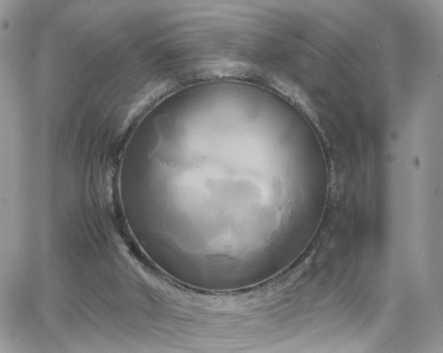 X0000066520010200603241348