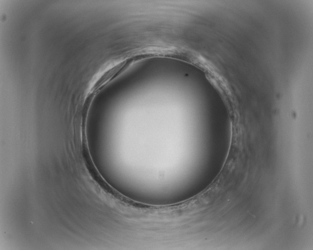 X0000066520011200603241348