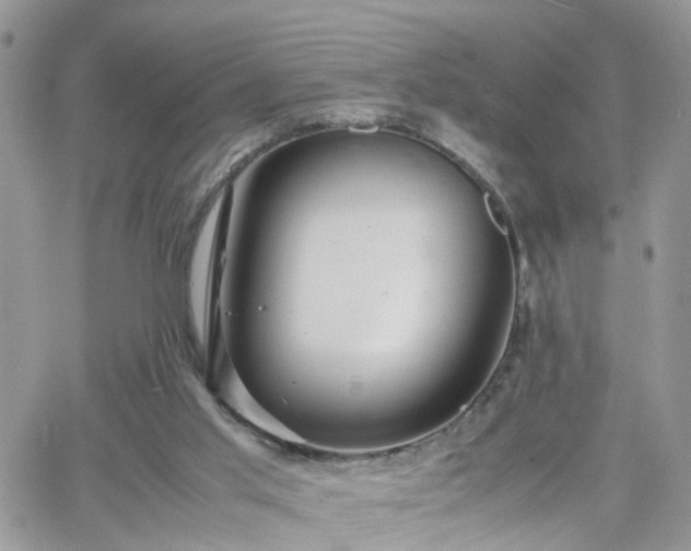 X0000066520013200603241348