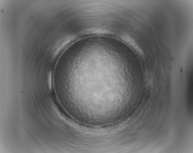 X0000066520014200603241348