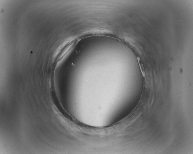 X0000066520015200603241348