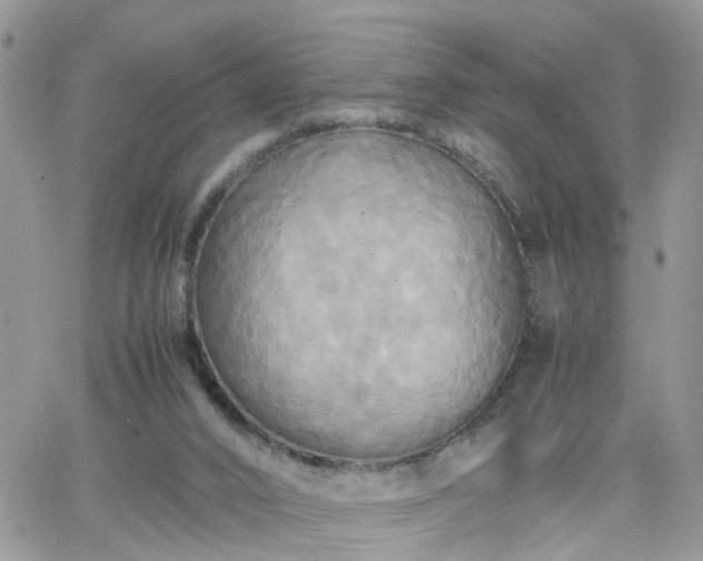 X0000066520016200603241348