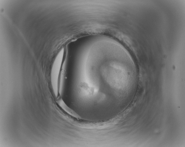 X0000066520017200603241348