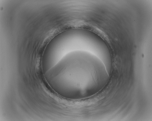 X0000066520018200603241348