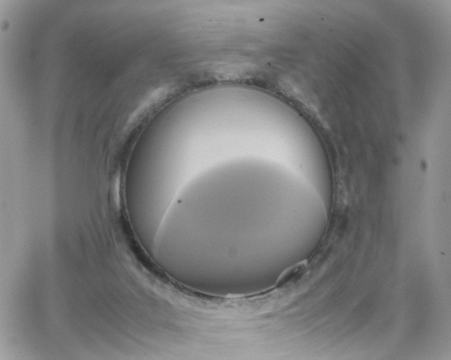 X0000066520019200603241348