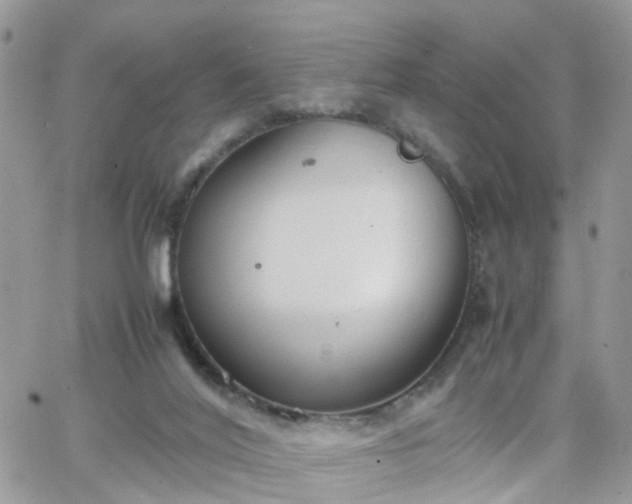 X0000066520020200603241348