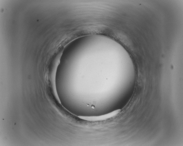 X0000066520021200603241348