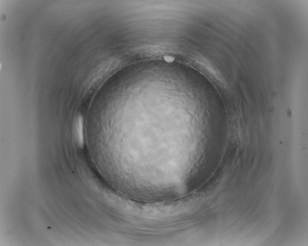 X0000066520022200603241348