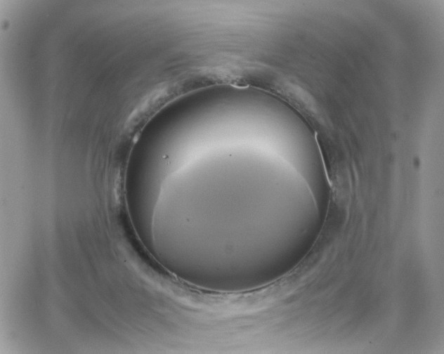 X0000066520023200603241348