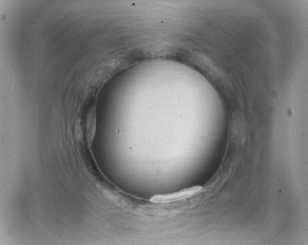 X0000066520025200603241348