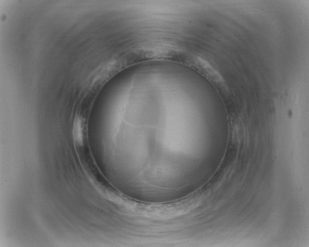 X0000066520026200603241348