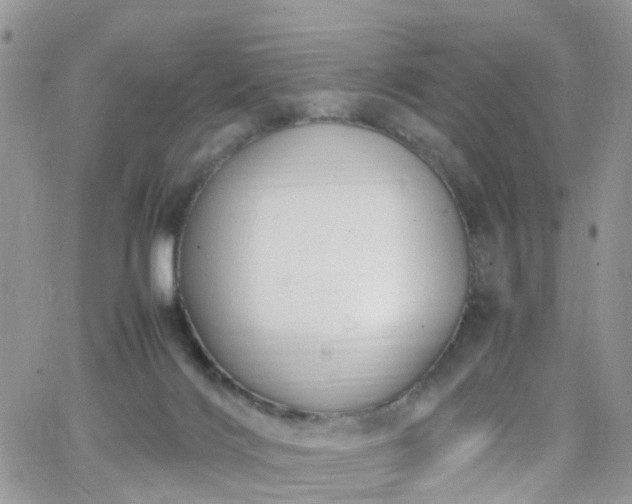 X0000066520028200603241348