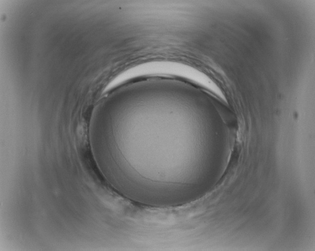 X0000066520029200603241348