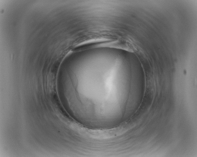 X0000066520030200603241348