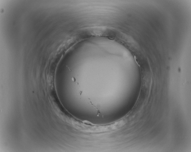 X0000066520031200603241348