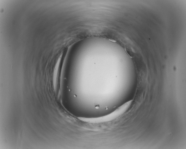 X0000066520033200603241347