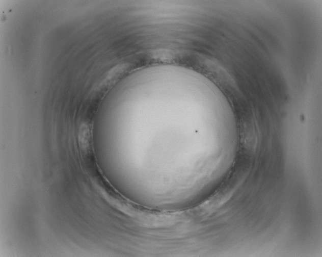 X0000066520036200603241347