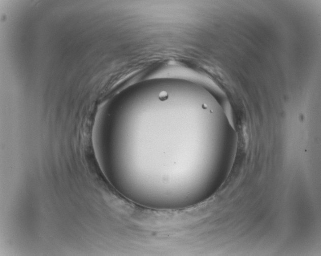 X0000066520037200603241347