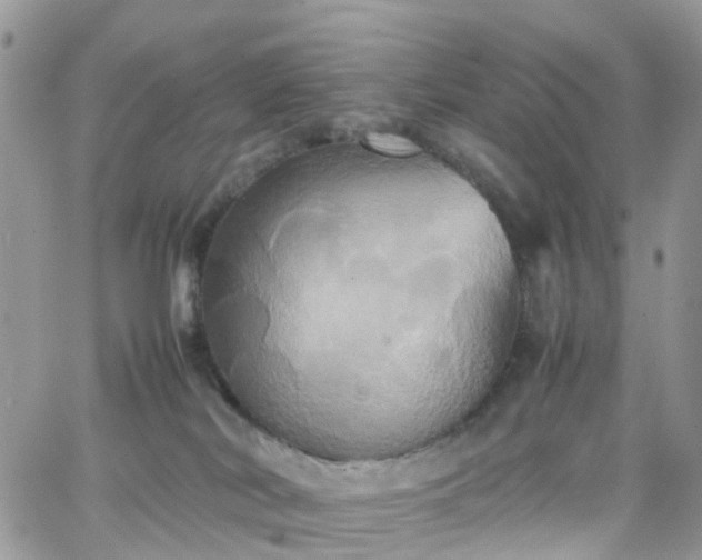 X0000066520038200603241347