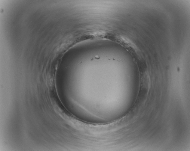 X0000066520039200603241347