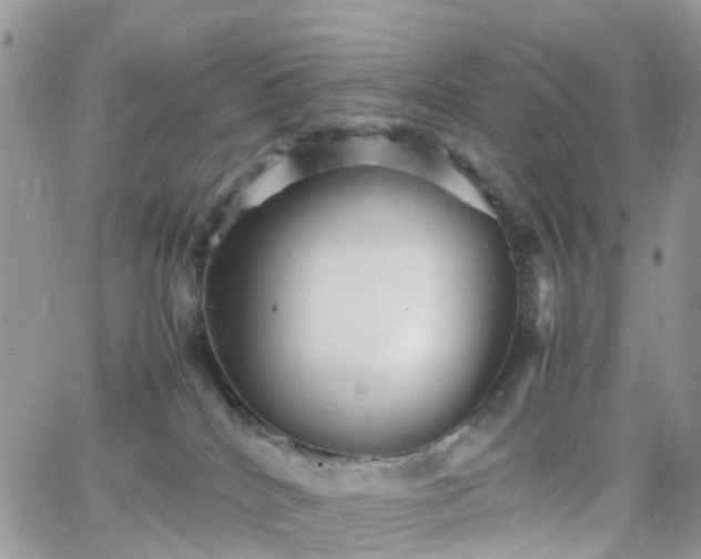 X0000066520040200603241347