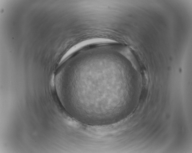 X0000066520041200603241347