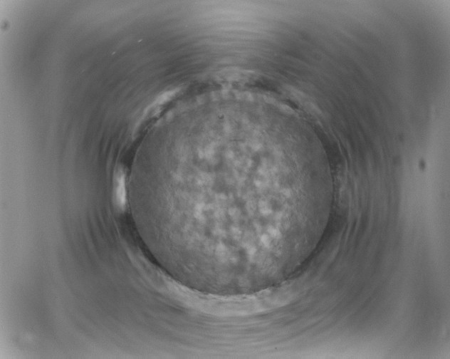 X0000066520042200603241347