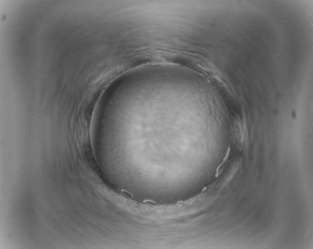 X0000066520043200603241347