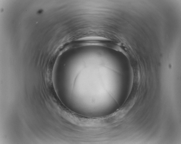 X0000066520044200603241347