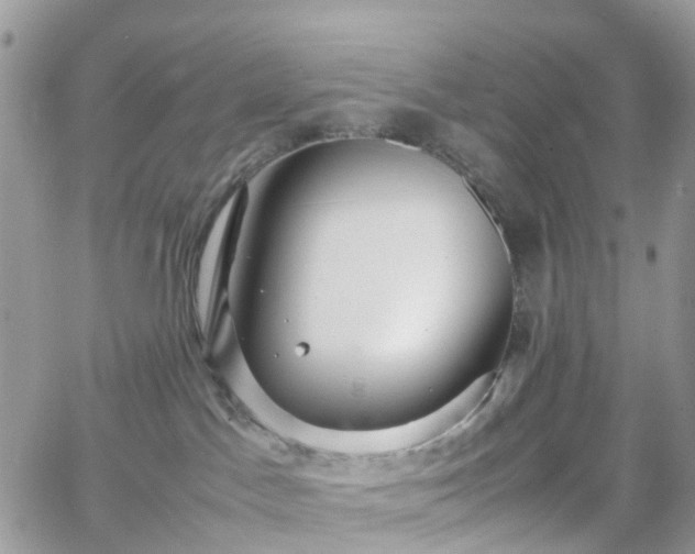 X0000066520045200603241347