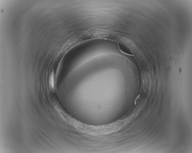 X0000066520046200603241347