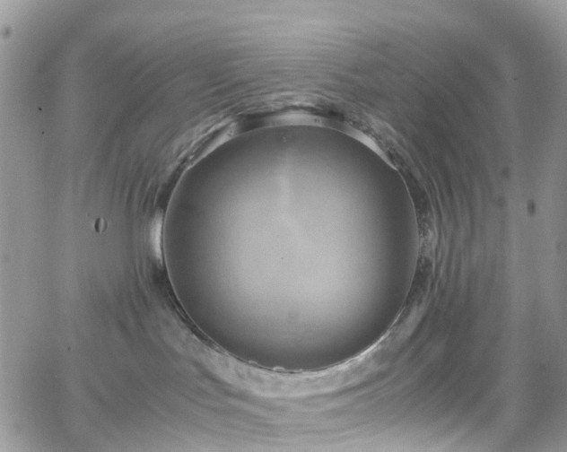 X0000066520047200603241347