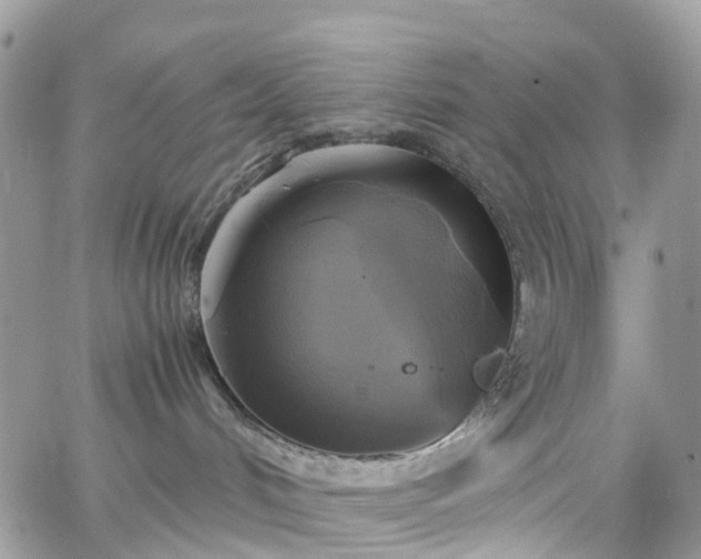 X0000066520048200603241347