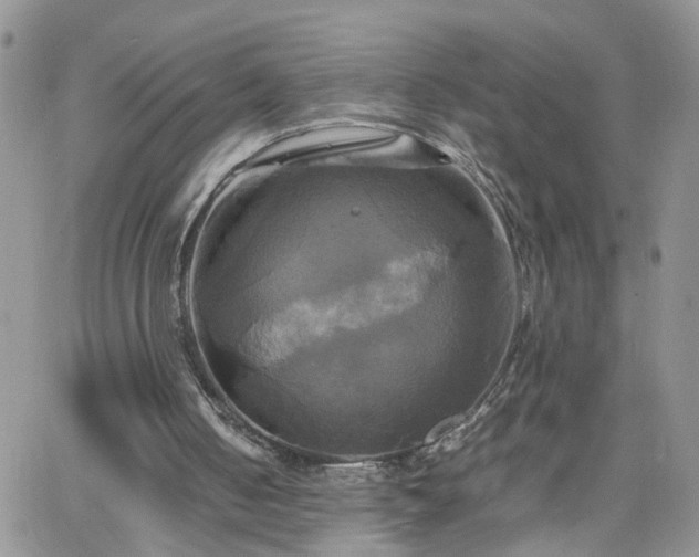 X0000066520050200603241346