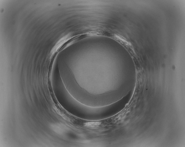 X0000066520051200603241347