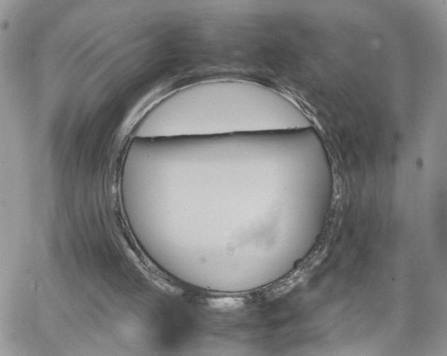 X0000066520053200603241347