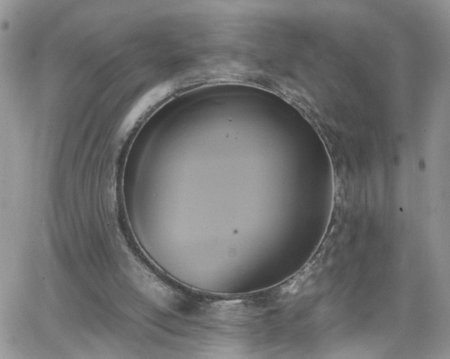 X0000066520054200603241347