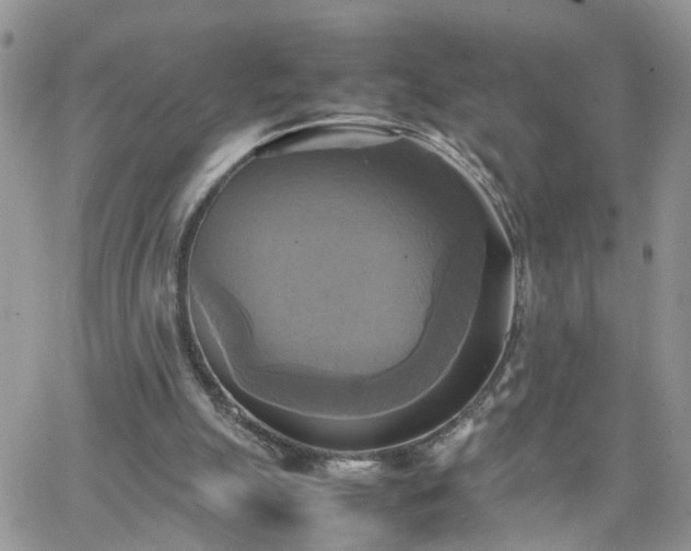 X0000066520055200603241347