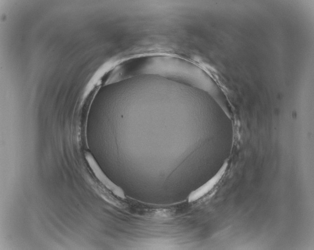 X0000066520056200603241347