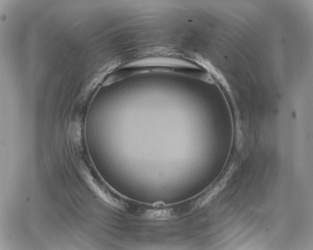 X0000066520057200603241347