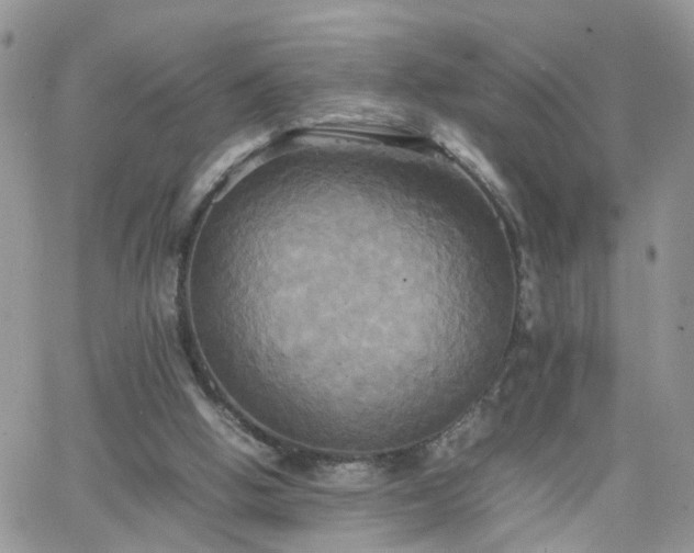 X0000066520058200603241347