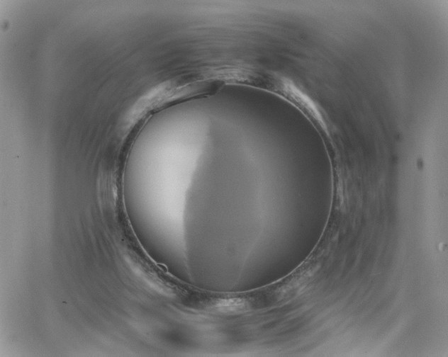 X0000066520059200603241347