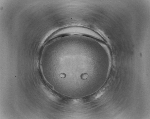 X0000066520060200603241347