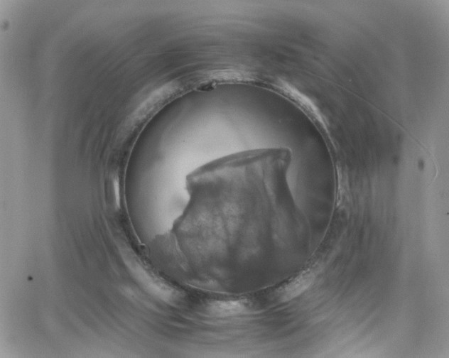 X0000066520061200603241347