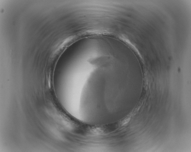 X0000066520062200603241347