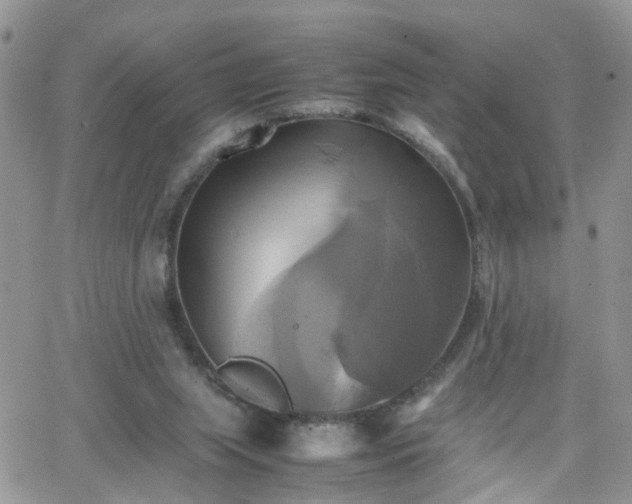 X0000066520063200603241347