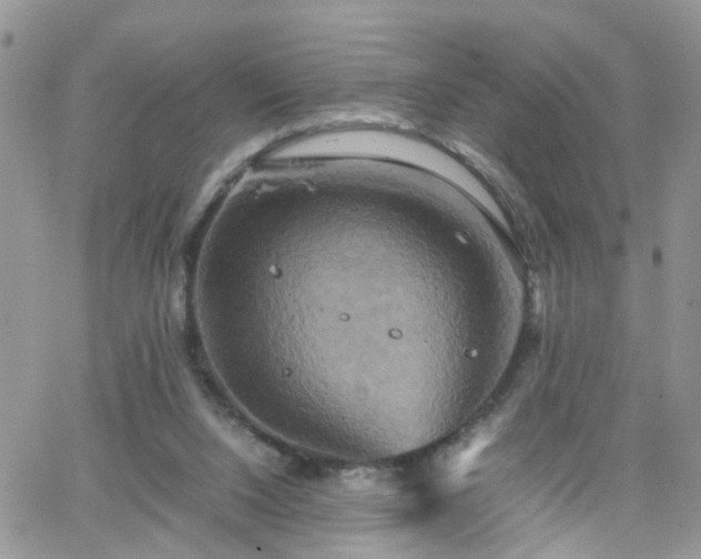 X0000066520064200603241347